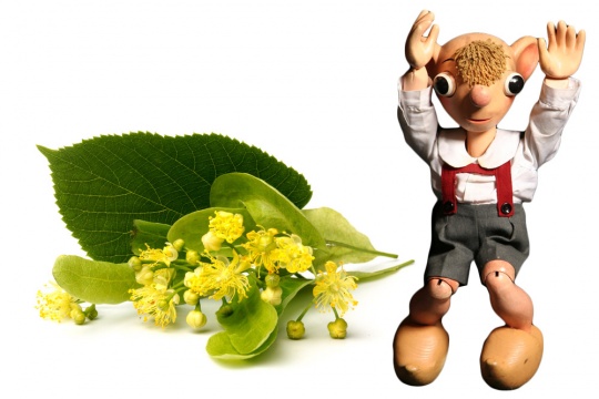 Hurvnek bude mt 17. listopadu vlastn lpu