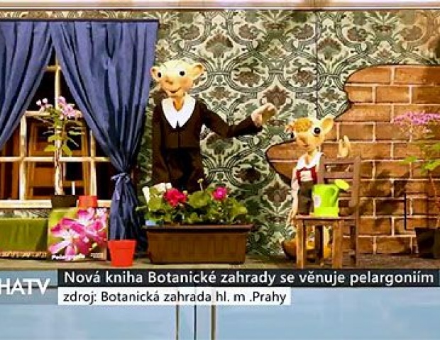 Nov kniha Botanick zahrady se vnuje pelargonim